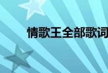 情歌王全部歌词（情歌王歌曲简介）