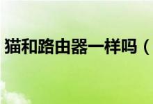 猫和路由器一样吗（猫和路由器是同一种吗）