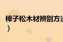 樟子松木材辨别方法是什么（樟子松有何特点）