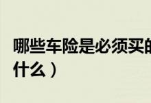 哪些车险是必须买的（国家强制购买的车险有什么）