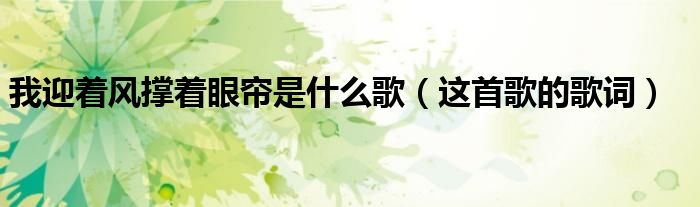 我迎著風撐著眼簾是什么歌(這首歌的歌詞)
