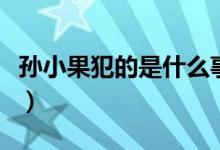 孙小果犯的是什么事件（孙小果犯的是何事件）