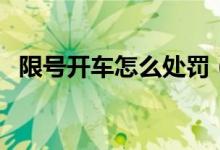限号开车怎么处罚（限号开车的处罚方式）
