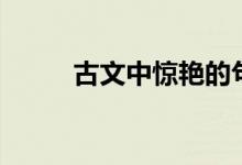 古文中惊艳的句子（你最爱那句）