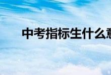 中考指标生什么意思（什么叫指标生）