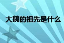 大鹅的祖先是什么（大鹅的祖先竟然是它）
