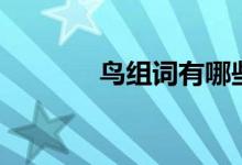 鸟组词有哪些（鸟组词介绍）