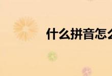 什么拼音怎么写（什么拼音）