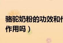 骆驼奶粉的功效和作用（你知道骆驼奶有什么作用吗）