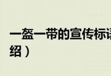 一盔一带的宣传标语（一盔一带的宣传标语介绍）