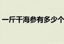 一斤干海参有多少个（干海参一斤能有多少）