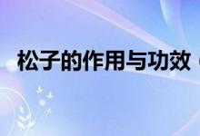 松子的作用与功效（松子有什么功效作用）