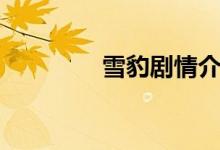 雪豹剧情介绍（你知道吗）