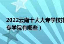 2022云南十大大专学校排名（云南专科学校排行榜 云南大专学院有哪些）