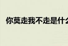 你莫走我不走是什么歌（你莫走完整歌词）