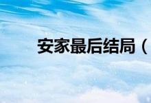安家最后结局（安家大结局是什么）