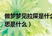 做梦梦见拉屎是什么意思（做梦梦见拉屎的意思是什么）