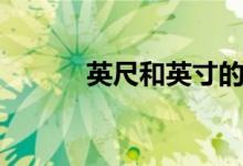 英尺和英寸的换算（如何换算）