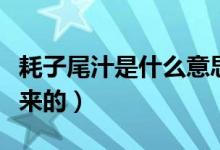 耗子尾汁是什么意思（耗子尾汁这个梗是怎么来的）