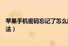 苹果手机密码忘记了怎么解锁（苹果手机密码忘记了解锁办法）
