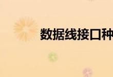 数据线接口种类（数据线接口）
