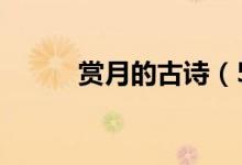 赏月的古诗（5首赏月古诗欣赏）
