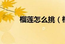 榴莲怎么挑（榴莲挑选步骤如下）