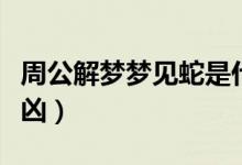 周公解梦梦见蛇是什么意思（梦里梦见蛇的吉凶）