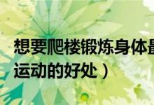 想要爬楼锻炼身体最好的方法是什么（爬楼梯运动的好处）