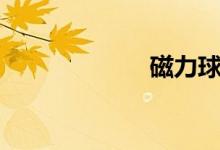 磁力球（磁力矩）