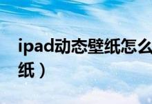 ipad动态壁纸怎么设置自定义（ipad动态壁纸）