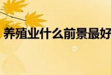 养殖业什么前景最好（养殖业什么前景介绍）