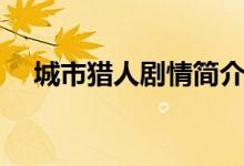 城市猎人剧情简介（城市猎人剧情介绍）