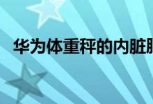 华为体重秤的内脏脂肪等级（华为体重秤）