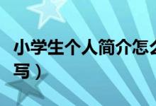 小学生个人简介怎么写（小学生个人简介如何写）