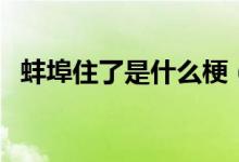蚌埠住了是什么梗（蚌埠住了是什么意思）