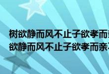树欲静而风不止子欲孝而亲不待是是什么意思（怎么理解树欲静而风不止子欲孝而亲不待）