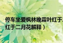 停车坐爱枫林晚霜叶红于二月花意思（停车坐爱枫林晚霜叶红于二月花解释）