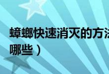 蟑螂快速消灭的方法（快速消灭蟑螂的方法有哪些）