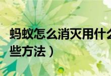 蚂蚁怎么消灭用什么方法（蚂蚁怎么消灭用哪些方法）