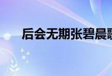 后会无期张碧晨歌词（后会无期歌词）