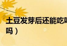 土豆发芽后还能吃吗（土豆如果出芽了还能吃吗）