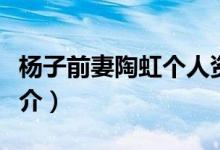 杨子前妻陶虹个人资料（关于杨子前妻陶虹简介）