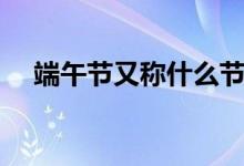 端午节又称什么节（端午节又称是什么）