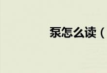 泵怎么读（汉字泵怎么读）