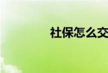 社保怎么交（什么是社保）