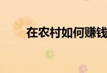 在农村如何赚钱（五个想法可尝试）
