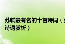 苏轼最有名的十首诗词（苏轼著名的古诗词作品 苏轼经典古诗词赏析）