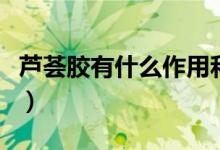 芦荟胶有什么作用和功效（芦荟胶有什么好处）