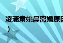 凌潇肃姚晨离婚原因（扒姚晨凌潇肃离婚内幕）